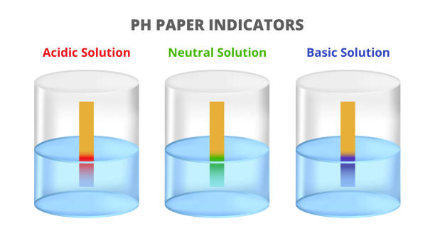 illustrations, cliparts, dessins animés et icônes de illustration d’indicateurs universels de ph papier. solution acide, neutre et basique. changements de couleur en rouge pour une solution acide, bleu pour une solution de base et vert pour une solution neutre. détermination du ph. - medical exam science research scientific experiment