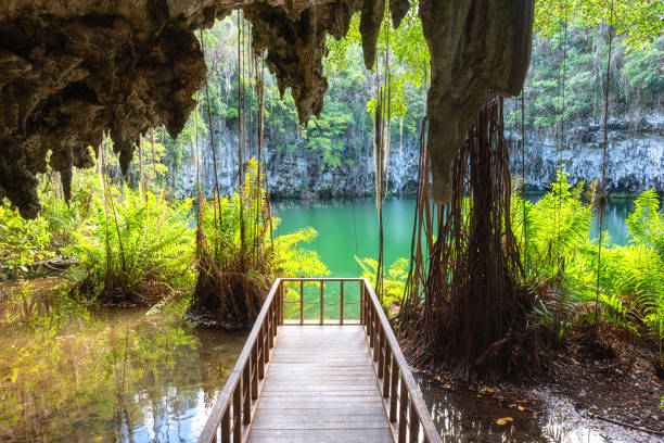 Three eyes cave in Santo Domingo, los Tres Ojos national park, Dominican Republic. Outdoor travel background Three eyes cave in Santo Domingo, los Tres Ojos national park, Dominican Republic. Scenic view of limestone cave, beautiful lake and tropical plants, nature landscape, outdoor travel background dominican republic stock pictures, royalty-free photos & images