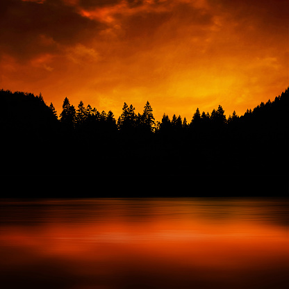forest fire with trees in silhouette and reflection in lake, square frame