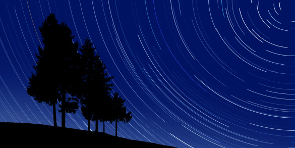 pine trees in silhouette at night with long exposure stars, panoramic frame (XL)