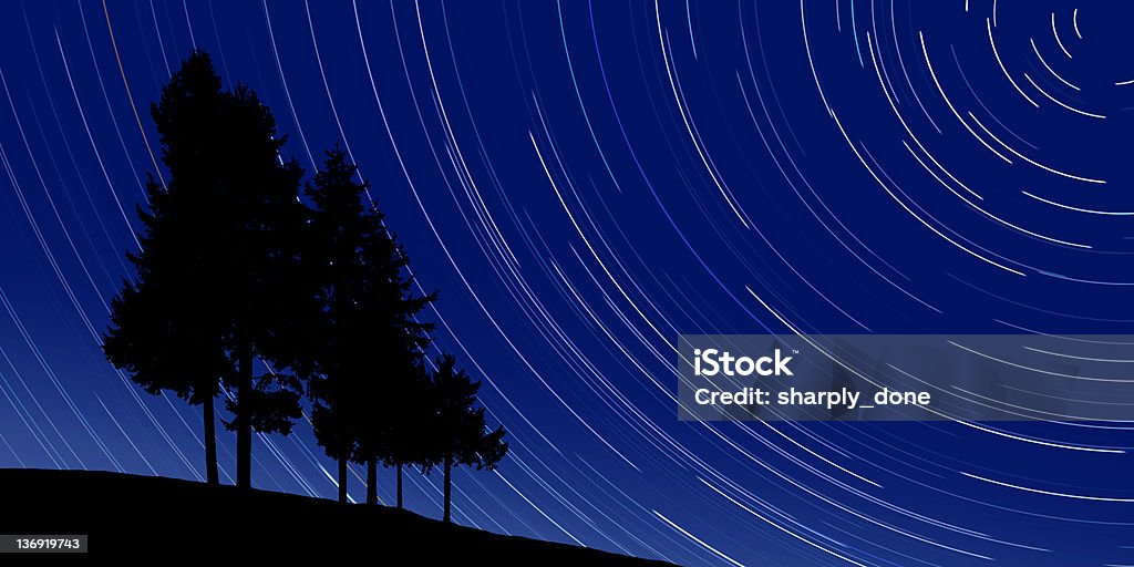 XL árvores de pinho à noite com estrelas - Royalty-free Céu Foto de stock