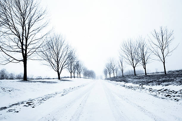 冬 country road - landscaped landscape winter usa ストックフォトと画像