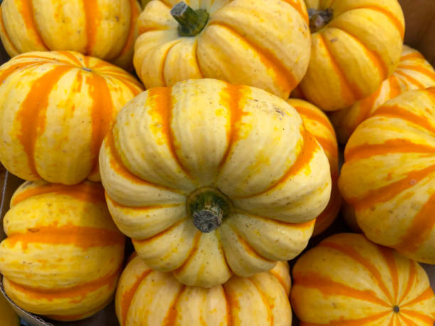 istock Orange pumpkin box in the market 1369199949