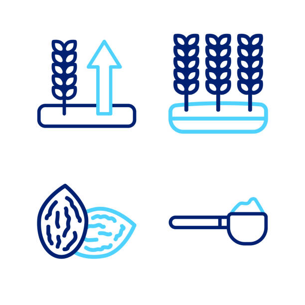 illustrations, cliparts, dessins animés et icônes de définir la ligne tasse à mesurer avec farine, graine, blé et icône. vecteur - wheat cereal plant oat crop
