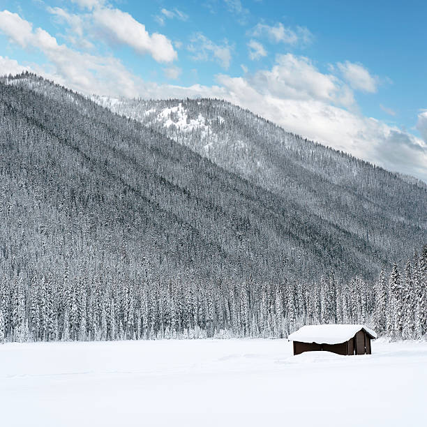 istock XL winter wilderness cabin 136920068