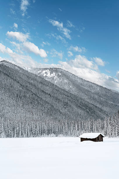 wilderness cabin and winter mountains, vertical frame (XXL)