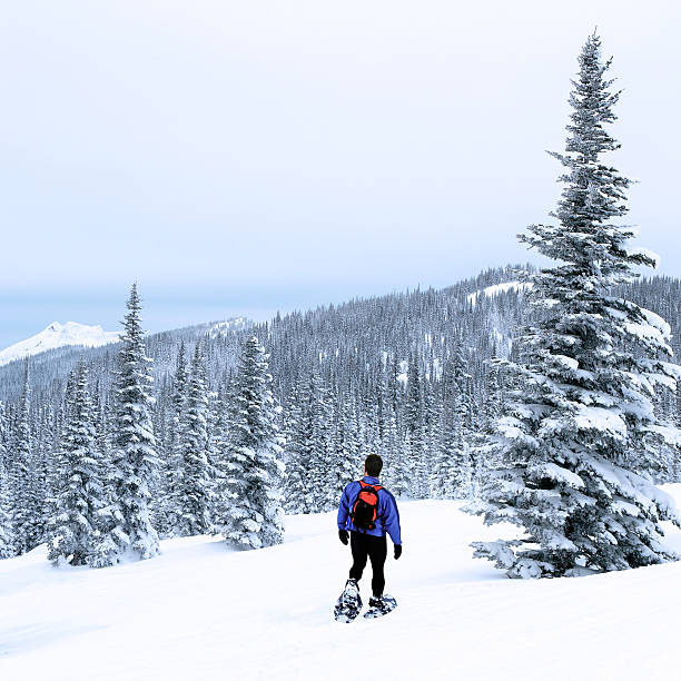 homme marche en hiver - woods glade winter wood photos et images de collection