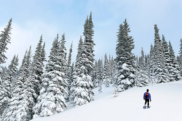 man hiking in winter forest (XXL)