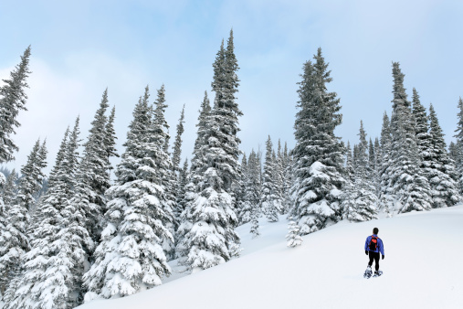 man hiking in winter forest (XXL)