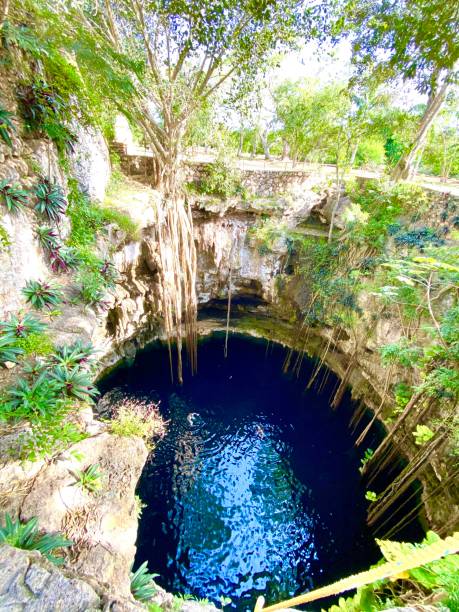 istock Cenotes in Valladolid 1369201157
