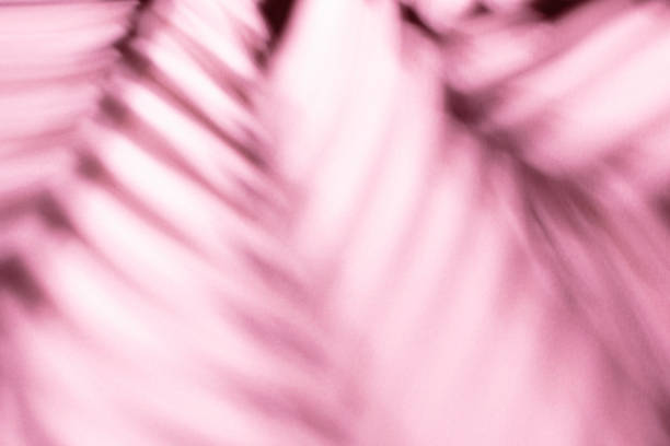 istock Palm leaves and shadows on a color wall background. 1369202150