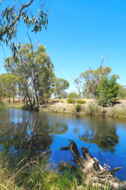 istock Horsham,  Victoria, Australia 1369202343