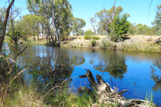 istock Horsham,  Victoria, Australia 1369202353