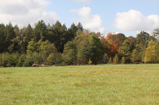 The exact spot of the Flight 93 crash on 9-11 in Pennsylvania