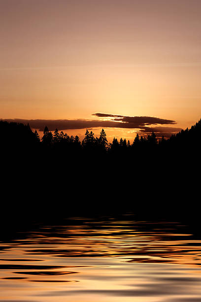 istock XXXL forest lake sunset 136920496