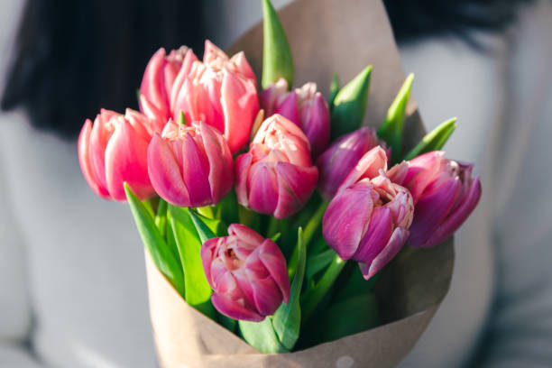 primer plano, un ramo de tulipanes rosados en manos femeninas. - florist women bouquet spring fotografías e imágenes de stock