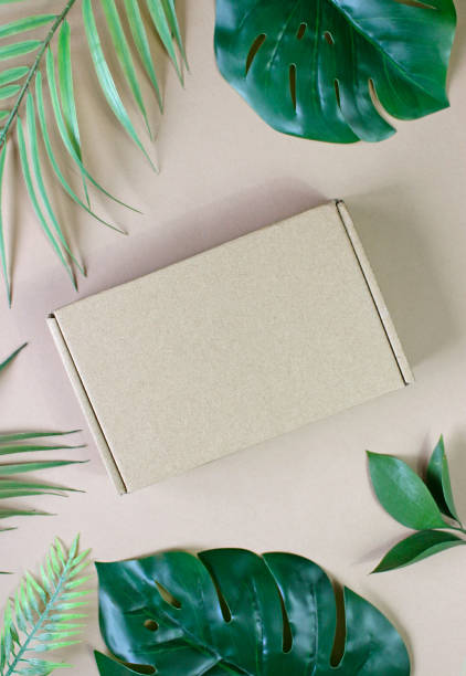 istock tropical palm leaves with box. Flat lay, nature concept, mockup 1369205842