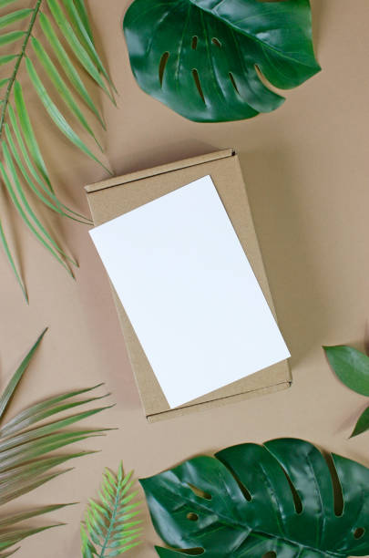 istock tropical palm leaves with box. Flat lay, nature concept, mockup 1369205844