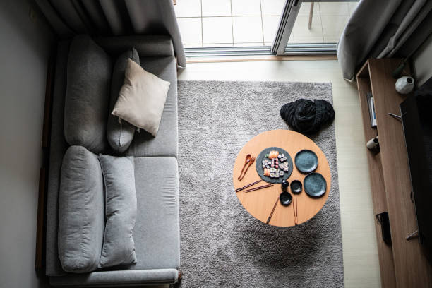 Sofa on a well lit wall, spot lights, plant next to the sofa and oriental rug