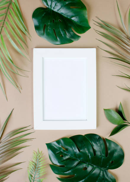 istock tropical palm leaves background copy space . Flat lay, nature concept, mockup 1369206056