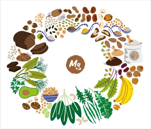 Magnesium Drawing Examples 380+ Magnesium Drawings Stock Illustrations, Royalty-Free Vector ...
