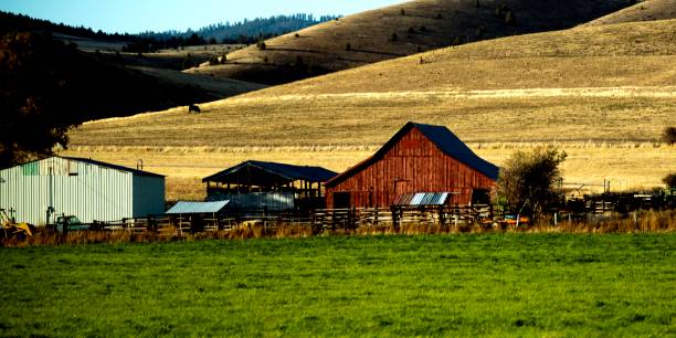 Red Barn On Highway 26 stock photo