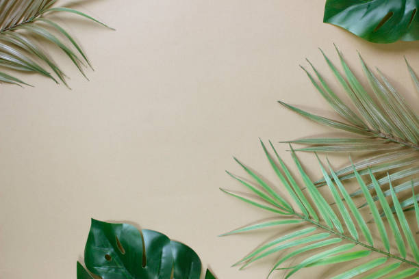 istock tropical palm leaves background copy space . Flat lay, nature concept, mockup 1369206912