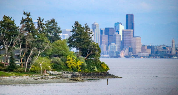 istock Bainbridge Island, Washington state 1369208379