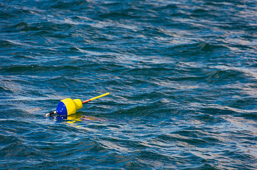 A yellow and blue lobster buoy  floats in the waters off the coast of Cape Cod on an October afternoon.