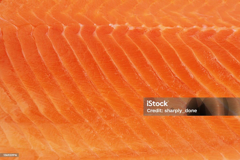 salmon fillet close-up fresh salmon fillet in close-up Salmon - Seafood Stock Photo