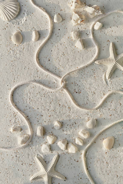 istock Sand background with seashells, starfish, cord and pebbles. Off white stones on textured sand surface 1369209442