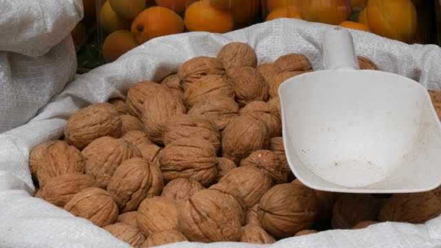 Dry shelled large ripe walnuts in white bag on which lies a plastic spatula