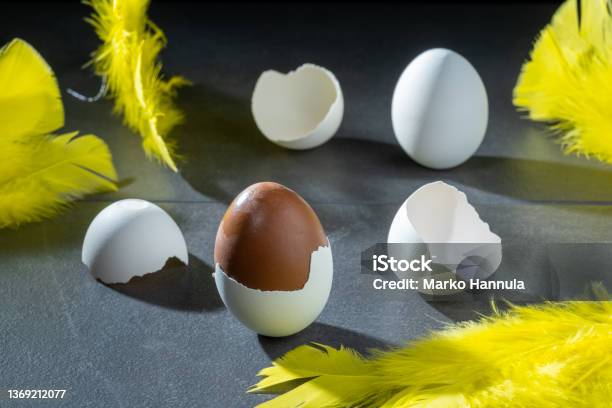 Traditional Finnish Foods Chocolate Easter Egg With Nougat Filling Molded In Authentic Eggshell Stock Photo - Download Image Now