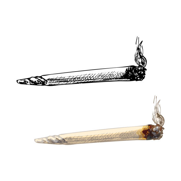 illustrazioni stock, clip art, cartoni animati e icone di tendenza di fumanti sigarette fatte a mano con fumo. illustrazione di tratteggio vettoriale vintage - uncultivated