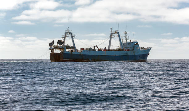 kommerzieller fischtrawler fischt nach meeresfischen und meeresfrüchten in ozeanischen gewässern. - trawler stock-fotos und bilder