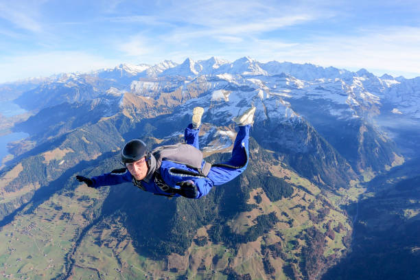 Free Fall Pictures | Download Free Images on Unsplash