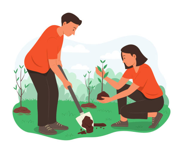 ilustraciones, imágenes clip art, dibujos animados e iconos de stock de voluntarios plantando el árbol. - tree growth cultivated sapling