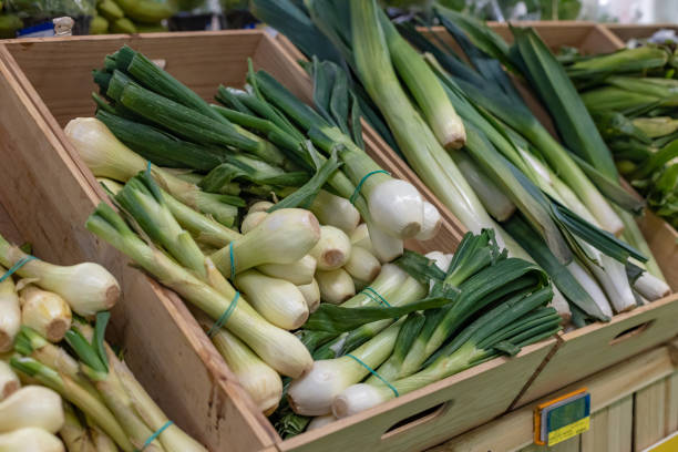 istock Crate with green onions in a greengrocer. 1369216893