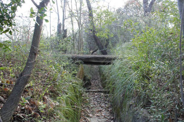 istock abandoned artificial canal in which flowed water generally used for irrigation of agricultural fields. photo taken outdoors in the Tuscan Mediterranean scrub. 1369218642