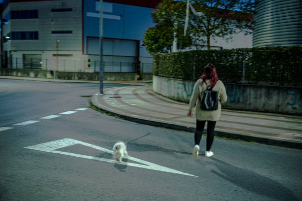 istock woman walking her pet at night alone 1369219417