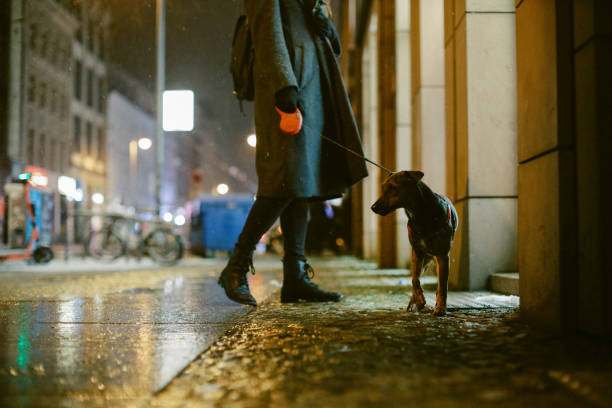 Streets of Berlin in winter