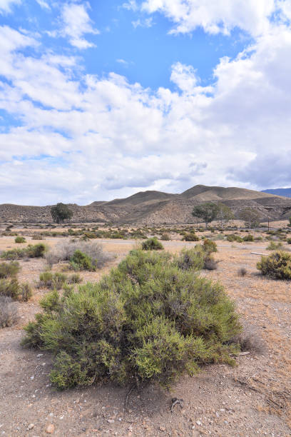 istock Desert Tabernas in Almeria Province Spain 1369223383