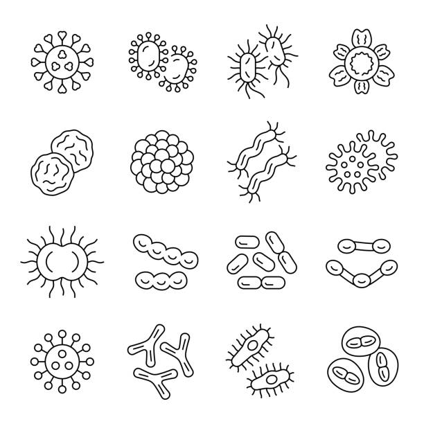 Bacteria and viruses  line icons Microorganism cells microscopic view vector icon set microbiology illustrations stock illustrations