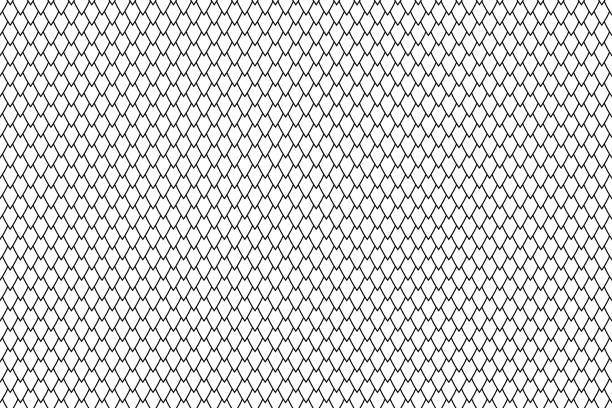 드래곤 스쿼마 기하학적 흑백 매끄러운 배경 - 비단뱀 stock illustrations