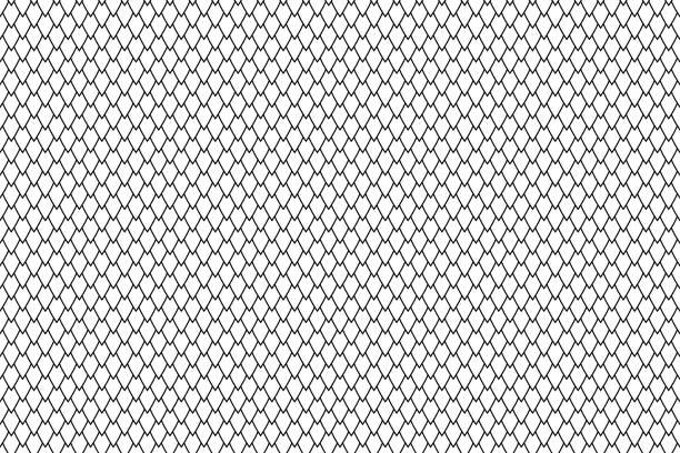 Dragon squama geometric black and white seamless background Dragon squama geometric seamless background. Black and white simple pattern or roof texture. Minimal wallpaper. Reptile decorative skin or mermaid tail. python stock illustrations