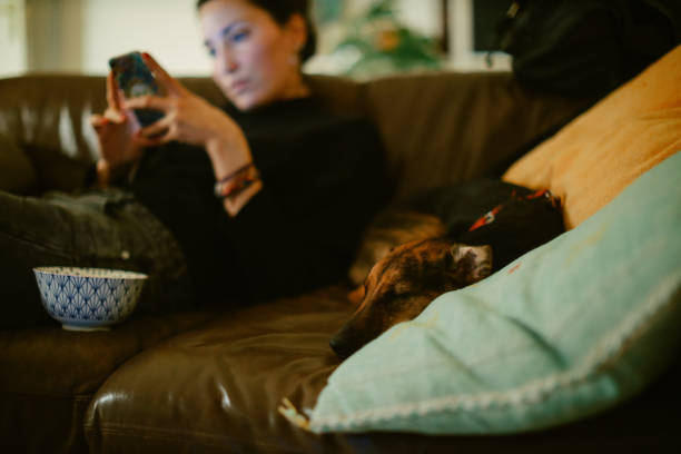 istock pet dog sleeping on the sofa while owner is relaxing 1369230219