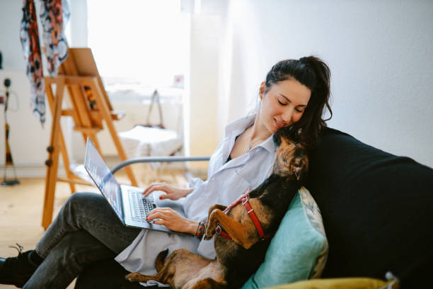 istock young woman doing work on the laptop with her pet dog 1369231176