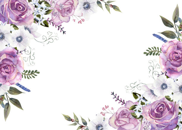 geometrischer blumenrahmen mit violetten rosen und anemonen in einer glasvase auf weißem, isoliertem hintergrund. handgezeichnete aquarellillustration - lila stock-grafiken, -clipart, -cartoons und -symbole