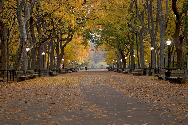 istock Literary Walk Autumn_1 136923964