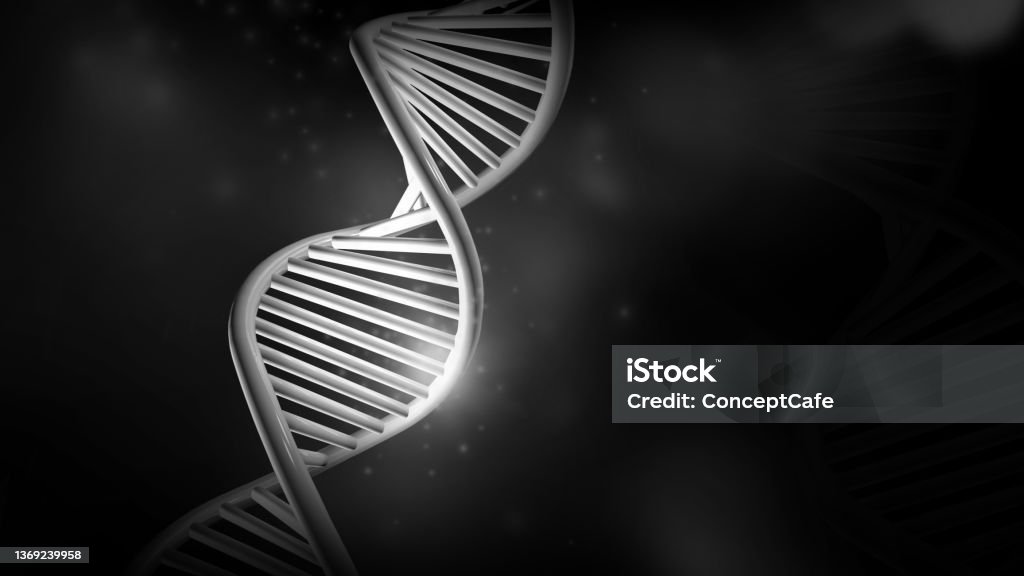 DNA double helix model on a black background, 3D render. Model of abstract DNA strand double helix on a black background. 3D render. DNA Stock Photo